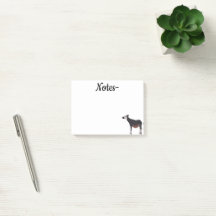 Okapi