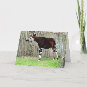 Okapi stehend feiertagskarte
