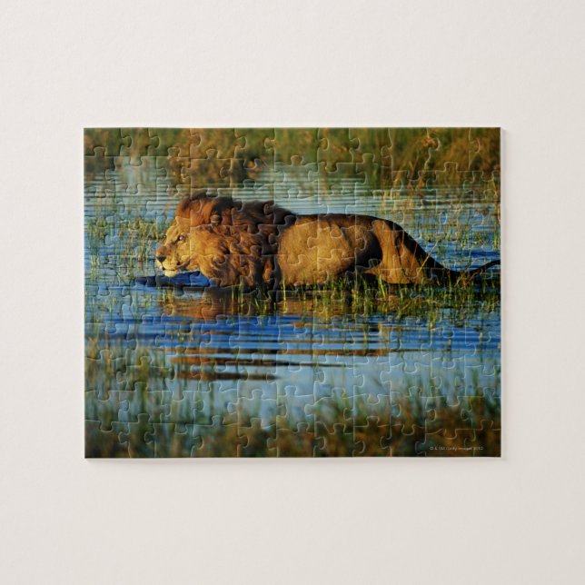 Okavango-Delta, Botsuana 3 (Horizontal)
