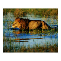 Okavango-Delta, Botsuana 3