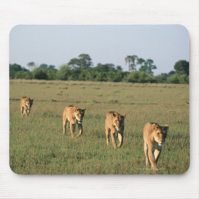 Okavango-Delta, Botsuana 4 Mousepad (Vorne)