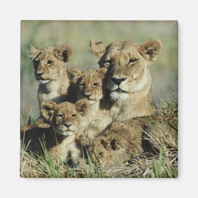 Okavango-Delta, Botsuana Magnet (Vorne)