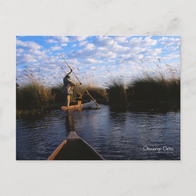 Okavango Delta Postkarte (Vorderseite)