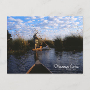 Okavango Delta Postkarte