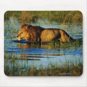 Okavango Dreieck, Botswana 3 Mousepad
