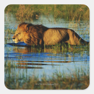 Okavango Dreieck, Botswana 3 Quadratischer Aufkleber