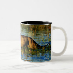 Okavango Dreieck, Botswana 3 Zweifarbige Tasse