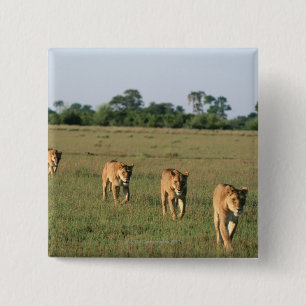 Okavango Dreieck, Botswana 4 Button