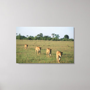 Okavango Dreieck, Botswana 4 Leinwanddruck