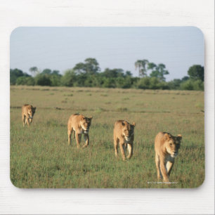 Okavango Dreieck, Botswana 4 Mousepad