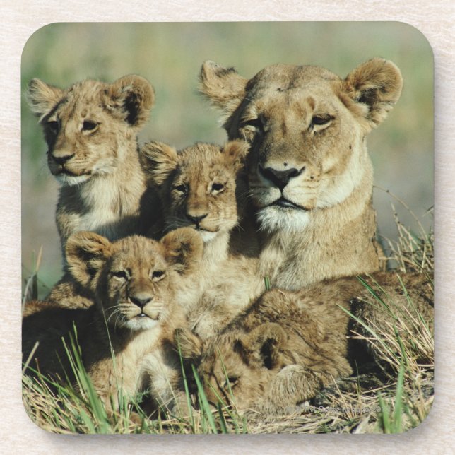 Okavango Dreieck, Botswana Untersetzer (Vorderseite)