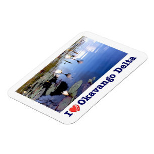 Okavango Water Lilien - Magnet