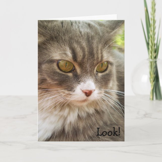 Okay. Birthday Card with Karte (Vorderseite)