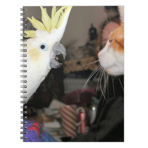 Okay...Ich sehe groß aus Notizblock