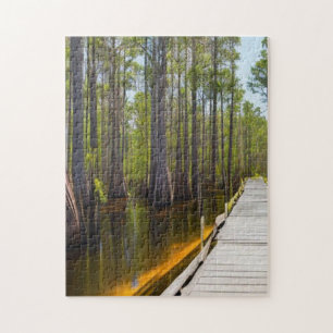 Okefenokee Swamp