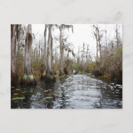 Okefenokee Swamp, Georgien Postkarte