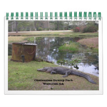 "OKEFENOKEE SWAMP PARK"
