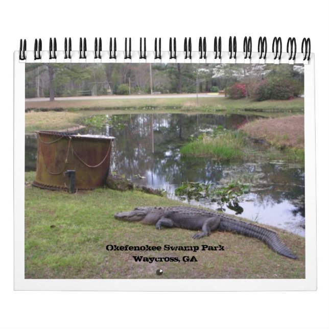 "OKEFENOKEE SWAMP PARK" KALENDER (Titelbild)
