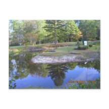 "OKEFENOKEE SWAMP PARK"
