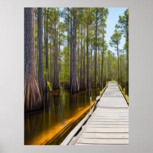 Okefenokee Swamp Poster