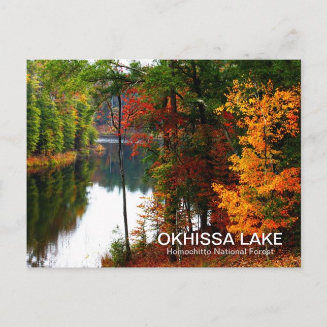 Okhissa-See - Homochitto Nationalwald Postkarte (Vorderseite)