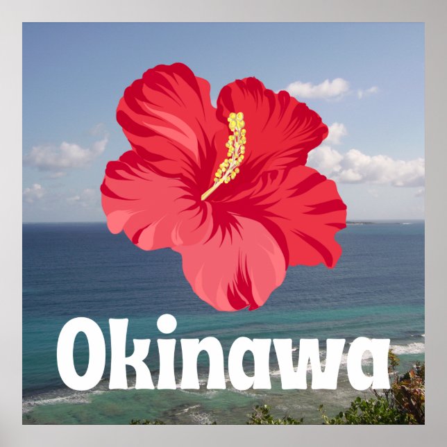 Okinawa Landschaftliche Aussicht und Hibiskus Poster (Vorne)