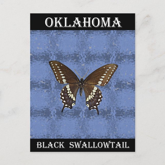 Oklahoma Black Frack Butterfly Postkarte (Vorderseite)