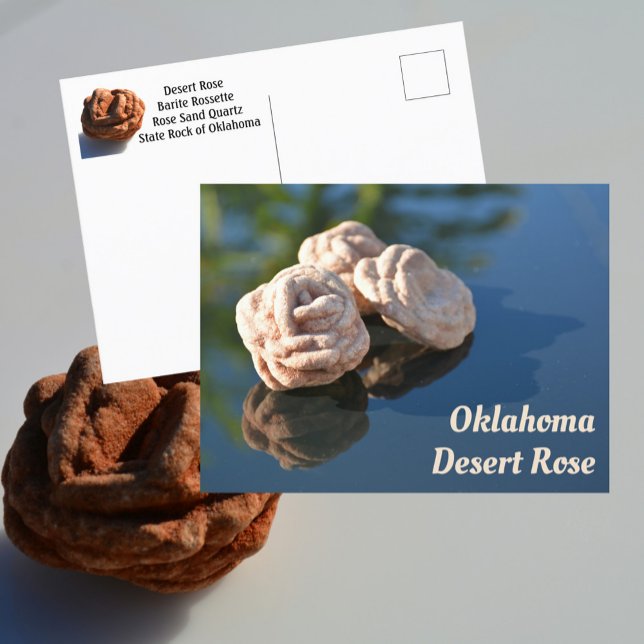 Oklahoma Desert Rose Sand Quartz Rock Fotografie Postkarte (Von Creator hochgeladen)