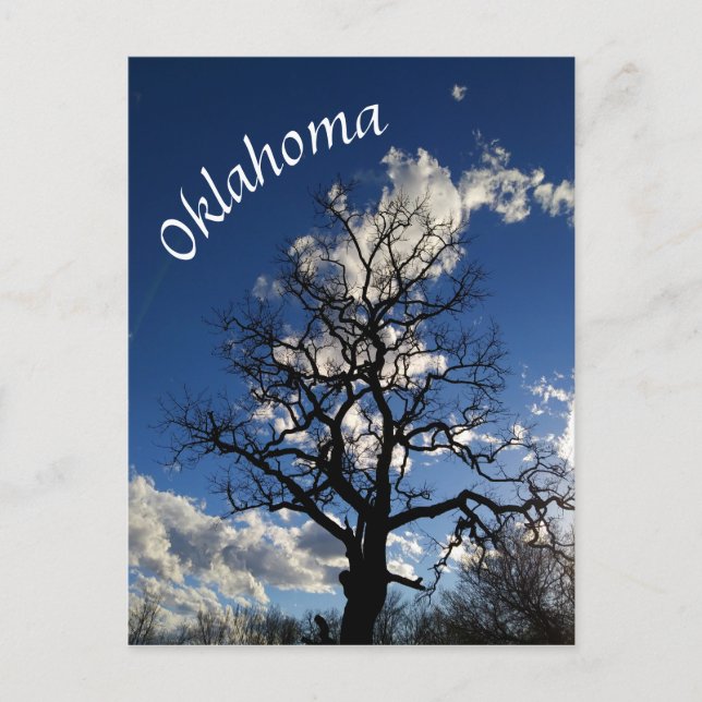 Oklahoma Post Card Blue Skies 3 Postkarte (Vorderseite)