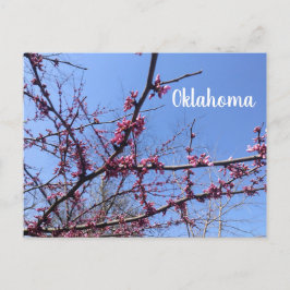 Oklahoma Redbud Postkarte