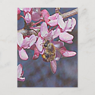 Oklahoma Redbud und Honeybee Postkarte