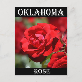 Oklahoma-Rose Postkarte