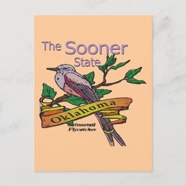 Oklahoma Sooner StateScissortail Flycatcher Postkarte (Vorderseite)