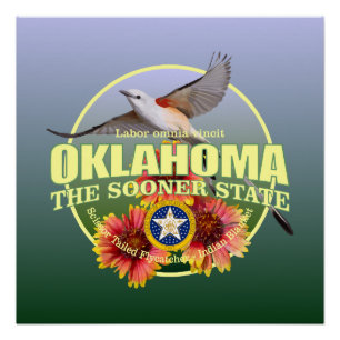 Oklahoma Staat Bird & Blume Poster
