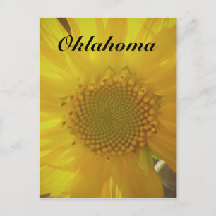 Oklahoma Sunflower Postcard Postkarte