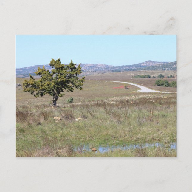 Oklahomas "Witchita Wild Life Refuge" Postkarte (Vorderseite)