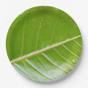 Öko Friendly Green Leaf 9" Runde Pappteller