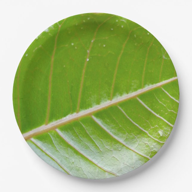 Öko Friendly Green Leaf 9" Runde Pappteller (Vorderseite)