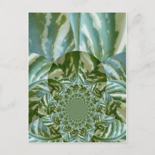 Öko-Grün-Tarn-Kaleidoskop-Kunst-Druck-Design Postkarte
