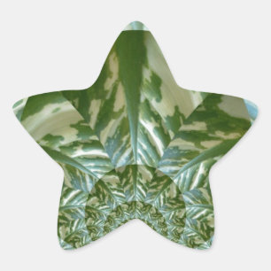 Öko-Grün-Tarnung-Kaleidoskop-Kunst-Druckdesign Stern-Aufkleber