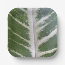 Öko Harmony 7" Platine Pappteller