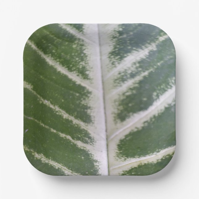 Öko Harmony 7" Platine Pappteller (Vorderseite)