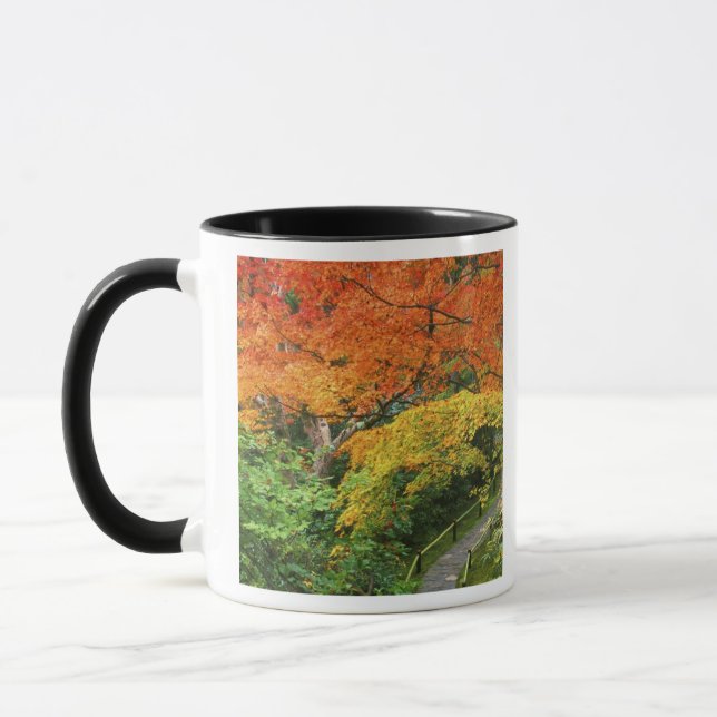 Okochi Sanso, Arashiyama, Kyoto, Japan 2 Tasse (Links)