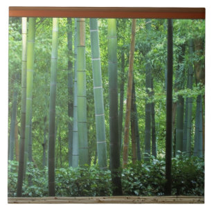 Okochi Sanso, Arashiyama, Kyoto, Japan 3 Fliese