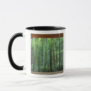 Okochi Sanso, Arashiyama, Kyoto, Japan 3 Tasse