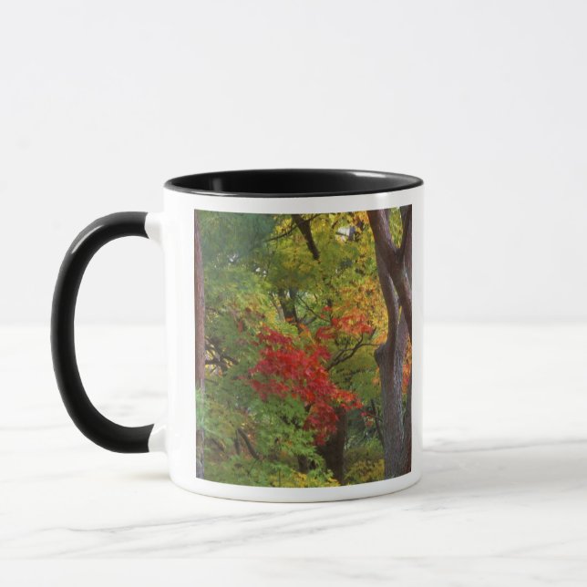 Okochi Sanso, Arashiyama, Kyoto, Japan 5 Tasse (Links)