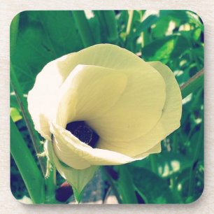 Okra Blume Getränkeuntersetzer