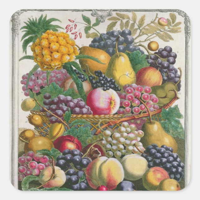 Oktober, ab "Zwölf Monate Obst" Quadratischer Aufkleber (Vorderseite)