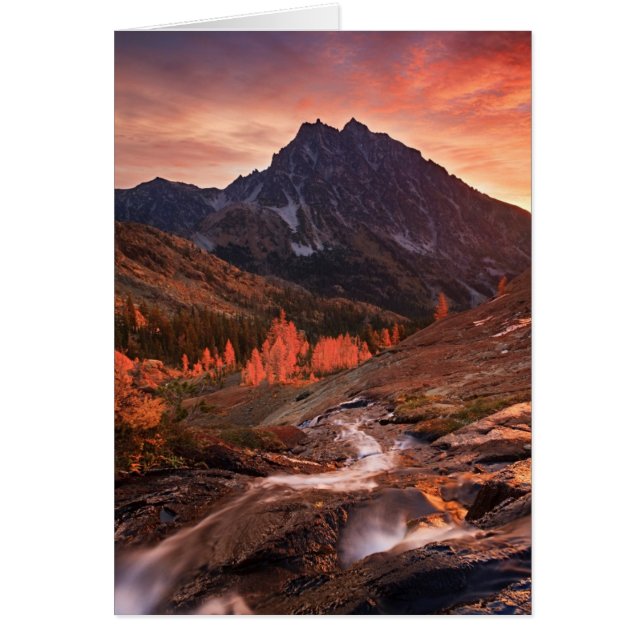 Oktober-Licht auf das Scheinwerferbecken (Vorne)