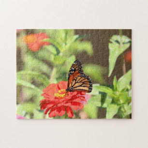 Oktober-Monarch